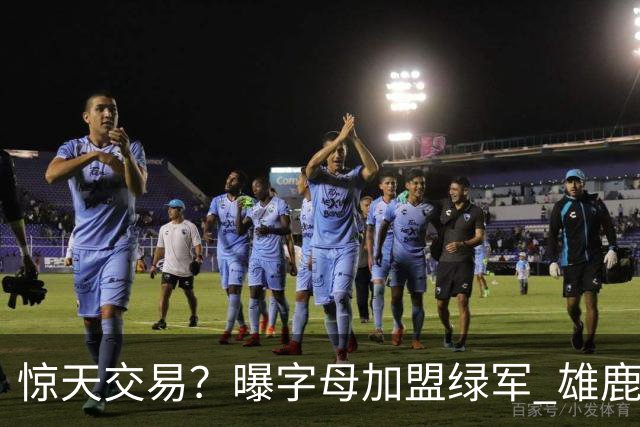 惊天交易？曝字母加盟绿军 雄鹿为布朗寻找第三方