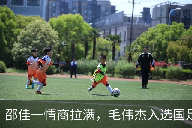邵佳一情商拉满，毛伟杰入选国足靠实力 与大连合同剩半年 防止挖角